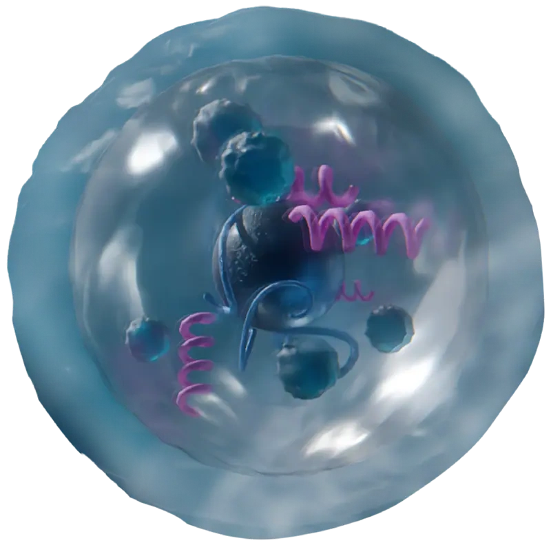exosome-image-drosia